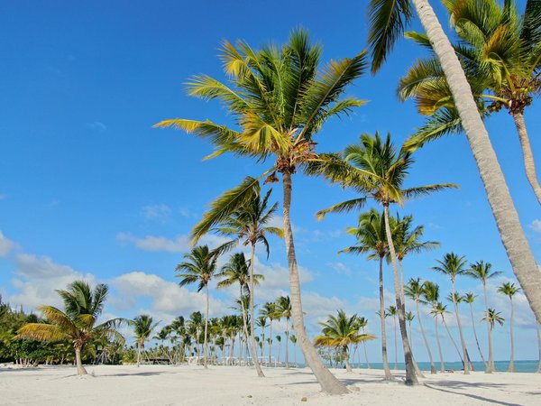 Croisières en famille : économiser sans sacrifier le plaisir