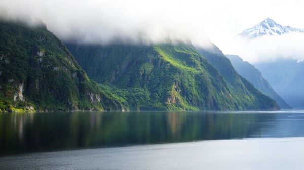 Top 5 raisons de visiter le fjord Milford Sound en Nouvelle-Zélande